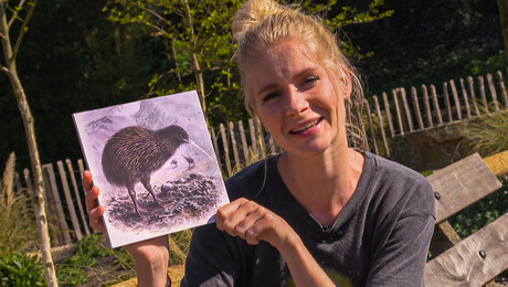 Kiwi